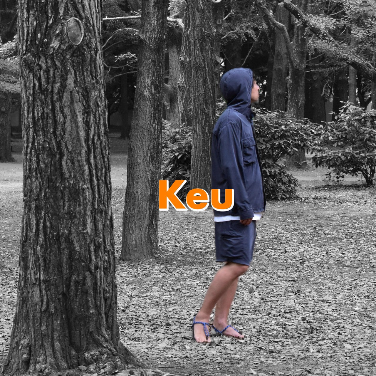 新カテゴリー『Keu』誕生！