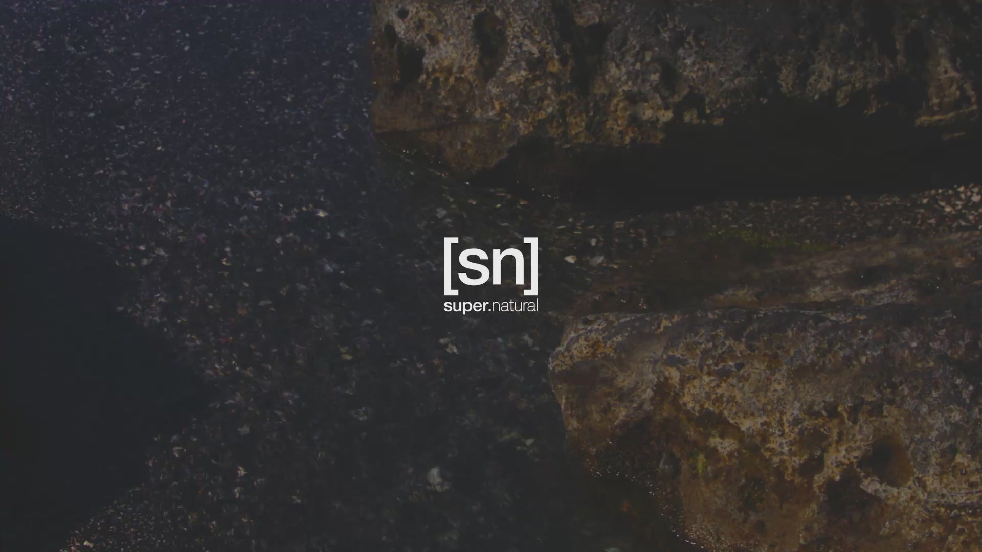 メリノウールをもっと自由に。 | [sn]super.natural – SNJ STORE